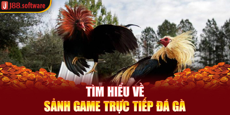 tim-hieu-ve-sanh-game-truc-tiep-da-ga