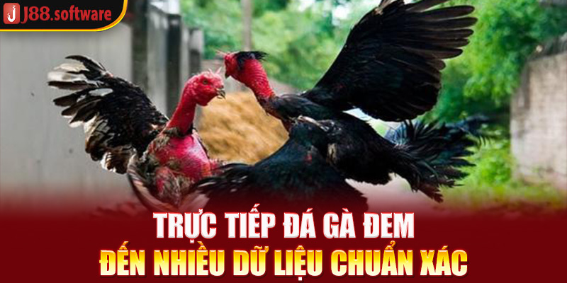 truc-tiep-da-ga-dem-den-nhieu-du-lieu-chuan-xac