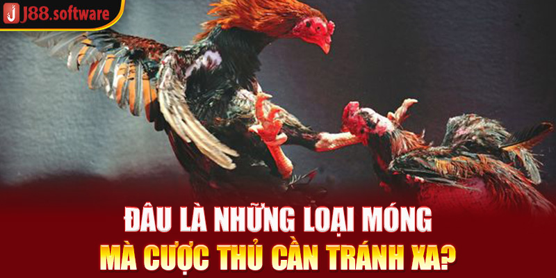 dau-la-nhung-loai-mong-ma-cuoc-thu-can-tranh-xa