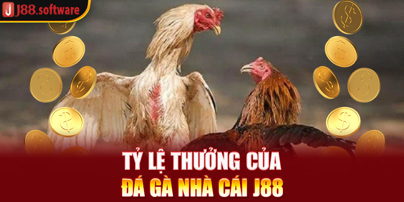 ty-le-thuong-cua-da-ga-nha-cai-j88