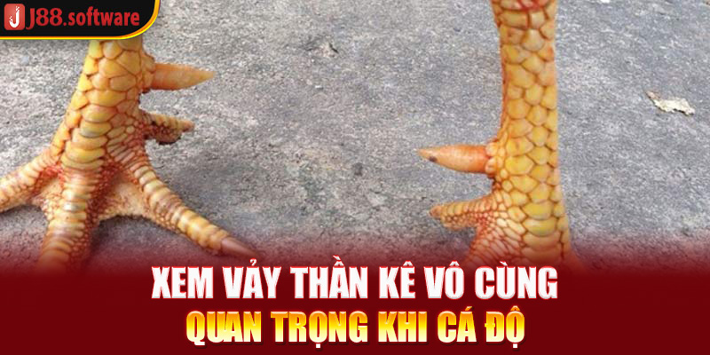 xem-vay-than-ke-vo-cung-quan-trong-khi-ca-do