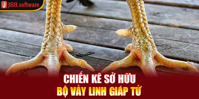 chien-ke-so-huu-bo-vay-linh-giap-tu