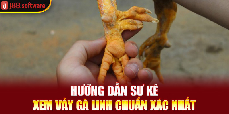 huong-dan-su-ke-xem-vay-ga-linh-chuan-xac-nhat